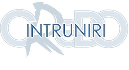 Intruniri